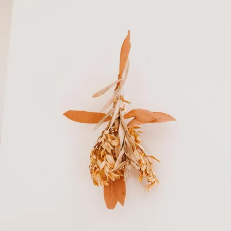 Mas Andalou Fabuleuse Première Ligne De Mer, Privative