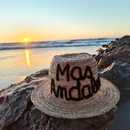 Villa Mas Andalou Fabuleuse Première Ligne De Mer, Privative Frontignan