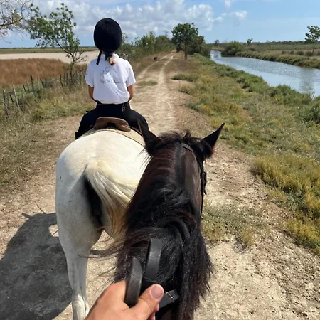 Mas Andalou Fabuleuse Première Ligne De Mer, Privative Villa