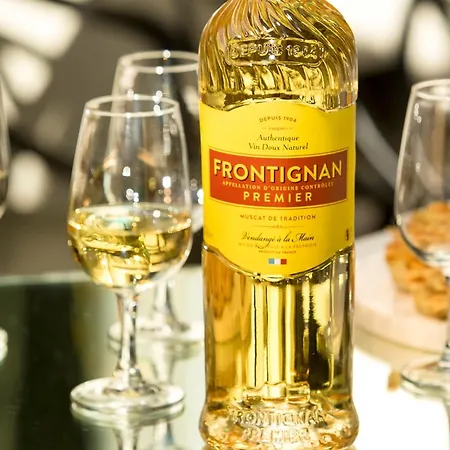 Villa Mas Andalou Fabuleuse Première Ligne De Mer, Privative *