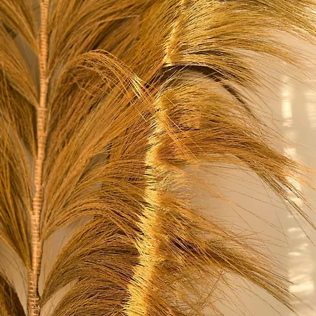 Villa Mas Andalou Fabuleuse Première Ligne De Mer, Privative