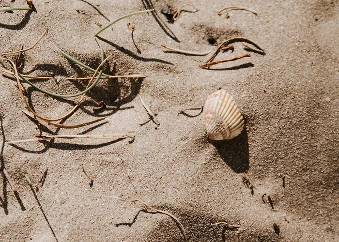 Mas Andalou Fabuleuse Premiere Ligne De Mer, Privative Willa Frontignan