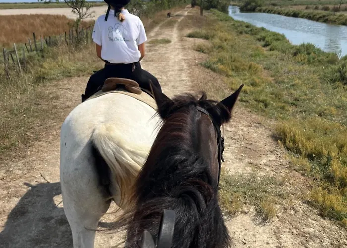 Mas Andalou Fabuleuse Premiere Ligne De Mer, Privative Willa