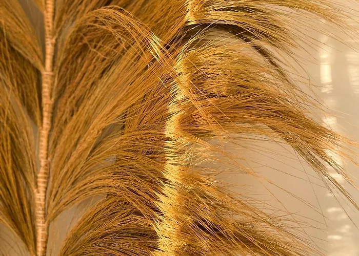 Willa Mas Andalou Fabuleuse Premiere Ligne De Mer, Privative